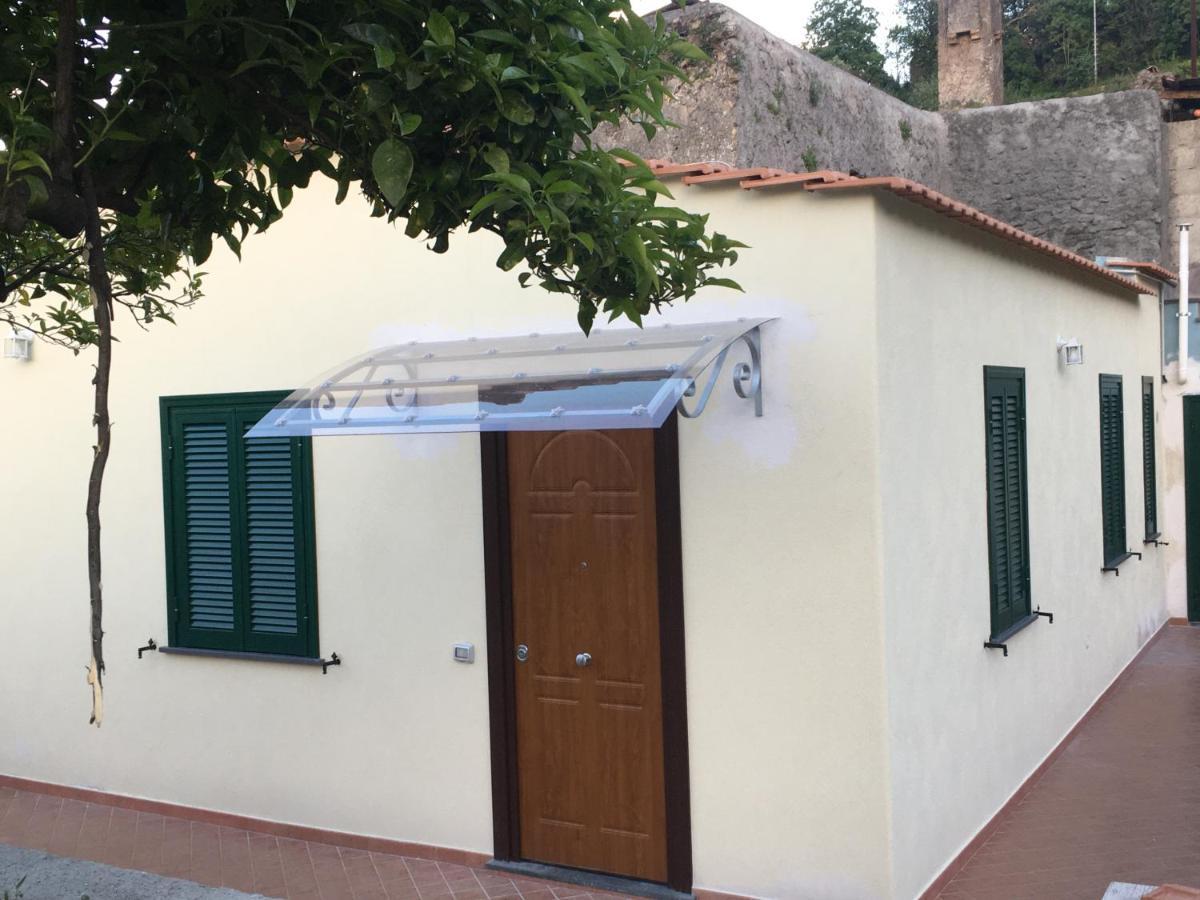 La Finestra Sul Giardino Daire Ischia Dış mekan fotoğraf
