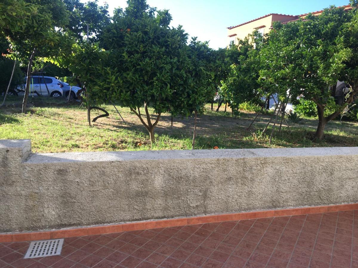 La Finestra Sul Giardino Daire Ischia Dış mekan fotoğraf